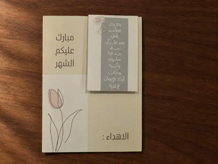 ⁦توزيعة الفاصل المغناطيسي⁩ - الصورة ⁦2⁩